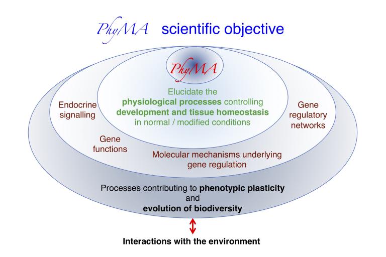 Objtectifs Phyma © MNHN-Laurent Sachs